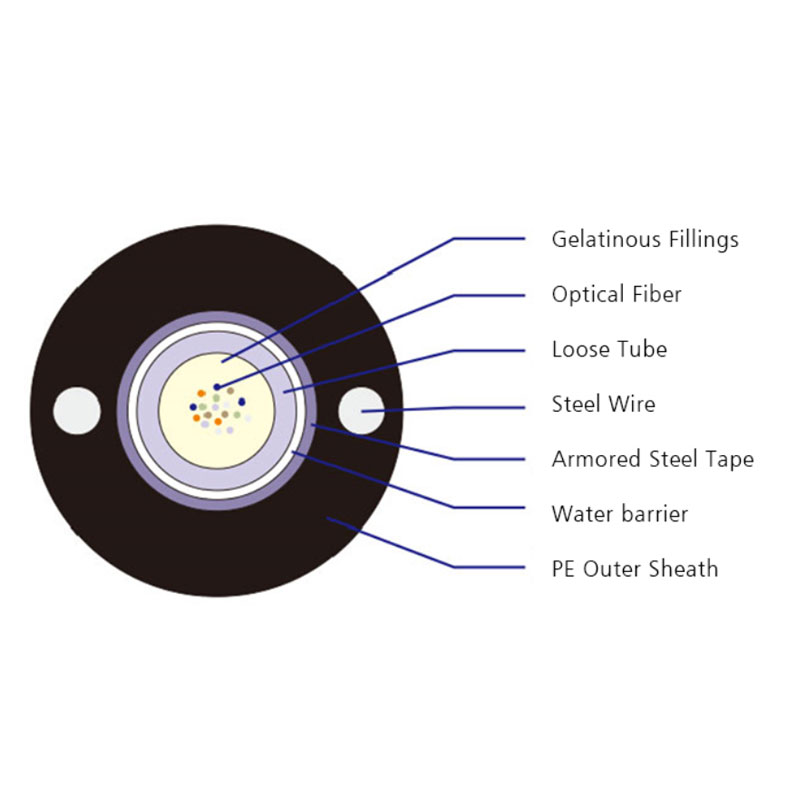 Carefiber  Array image16