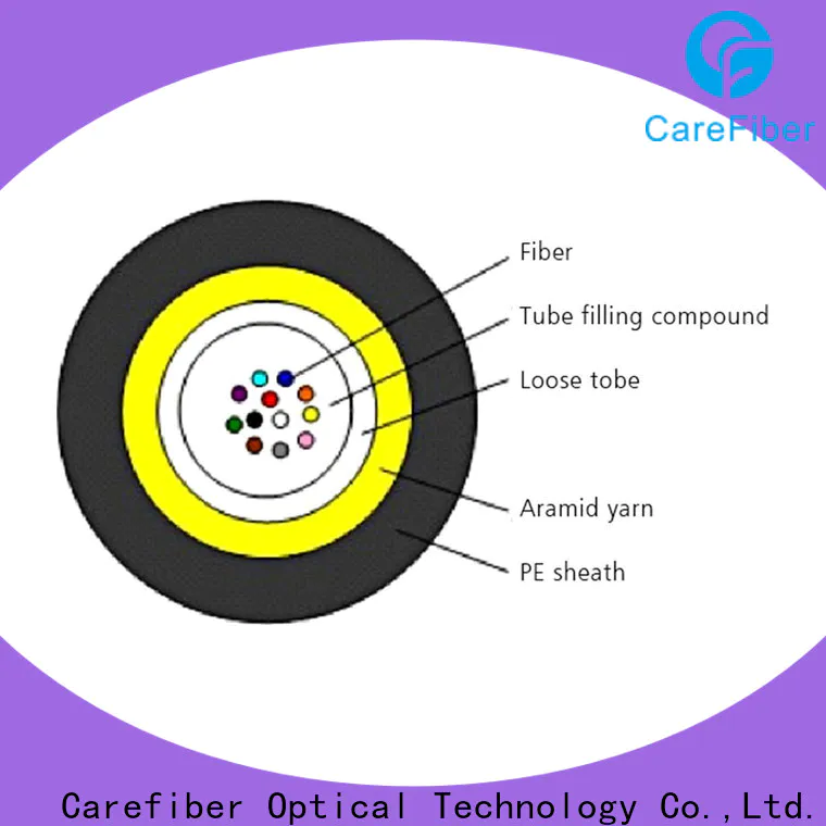 Carefiber standard fiber optic light cable great deal for importer