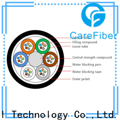 Carefiber standard types of optical fiber order online for importer