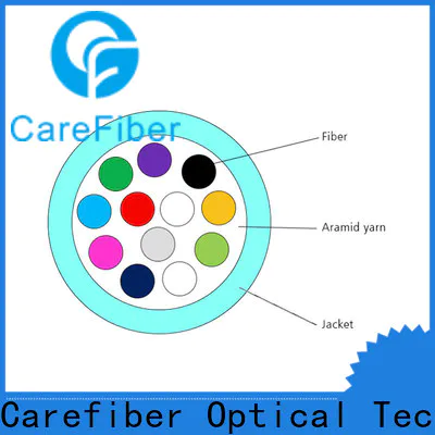 customized fiber optic or optical fiber gjfv provider for building